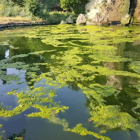 云端欧洲住宿加早餐旅馆 *