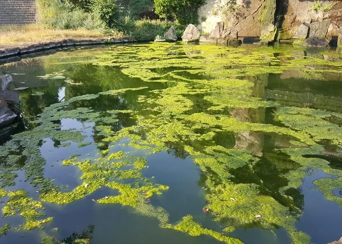 Affittacamere Eur Nuvola *