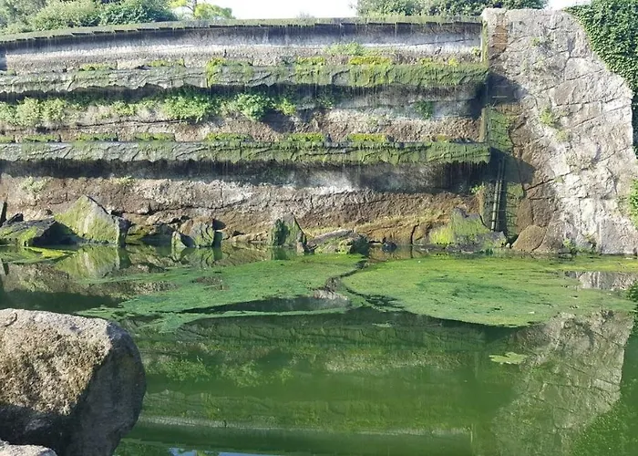 Affittacamere Eur Nuvola Πανσιόν *